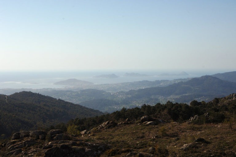Excepcional acollida aos “Bosques Terapéuticos” que xa esgotaron as prazas