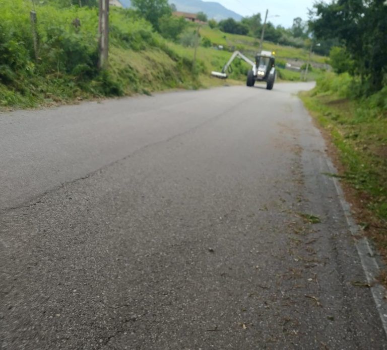 Once persoas desempregadas iniciaron hoxe traballos de roza e limpeza de camiños e estradas de Redondela