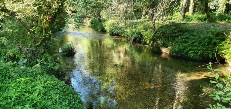 O BNG do Porriño mantén a súa aposta pola contorna do río Louro