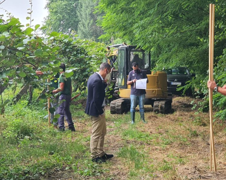 Comezan os traballos previos para a construción da pasarela peonil e a senda do Louro en Tui