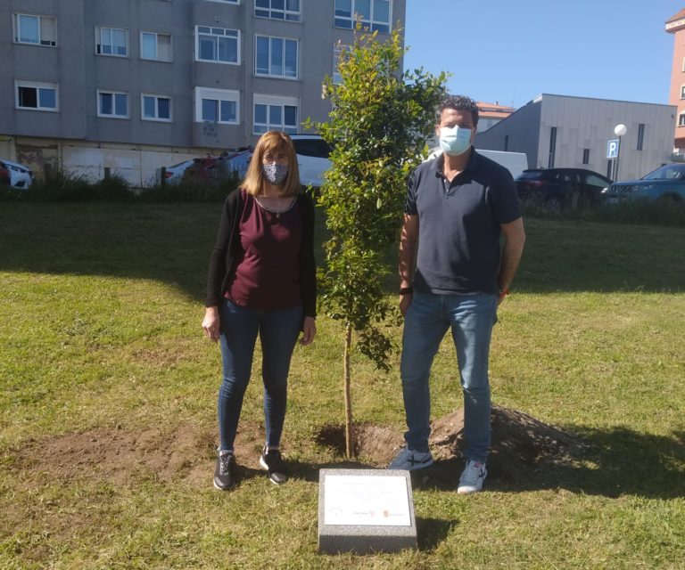 Baiona reafirma o seu compromiso coa sustentabilidade participando na iniciativa ‘Un árbol por Europa’