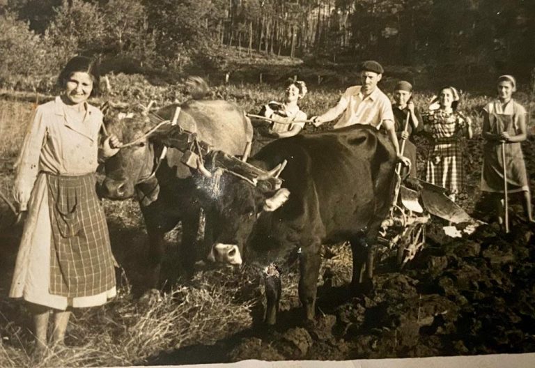 O futuro Arquivo da Imaxe de Tomiño suma 300 novas fotos achegadas pola veciñanza
