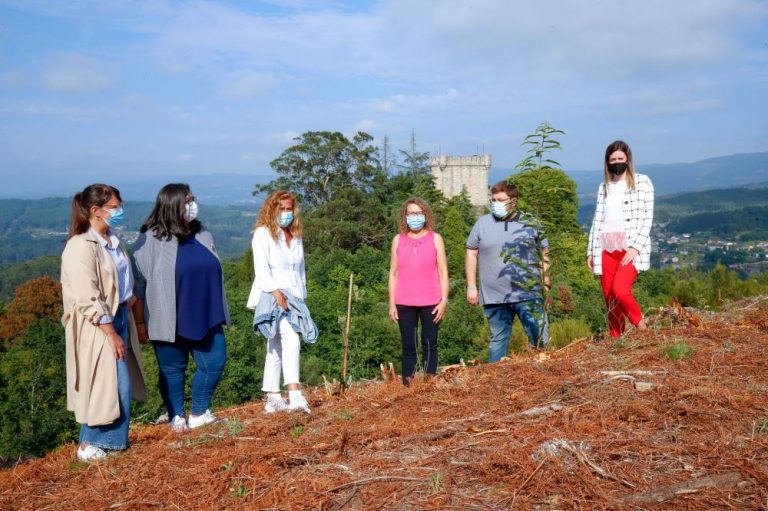 O bosque do Castelo do Sobroso recupera “o seu esplendor medieval” coa plantación de 1.200 árbores autóctonas