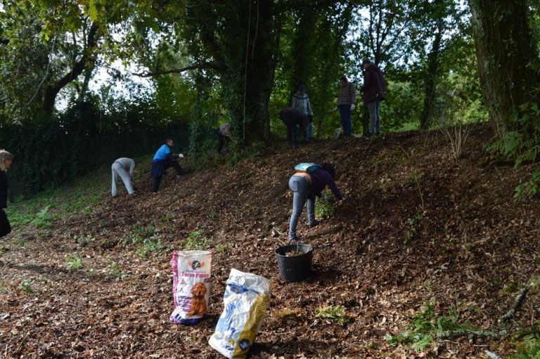 Tomiño ofrece á mocidade cursos de verán en contacto coa natureza