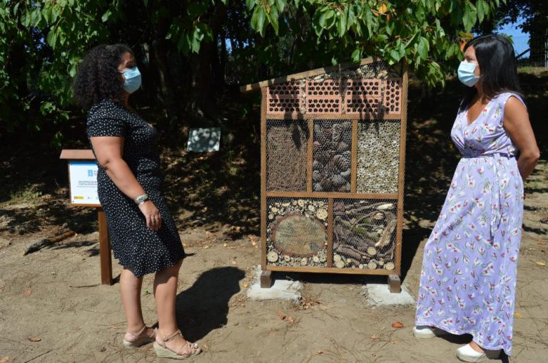 Mos instala o segundo ‘hotel’ para insectos de Galicia