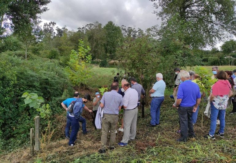 Presentación sobre o futuro plan de mellora do abastecemento autónomo en Oia dirixida ás traídas veciñais