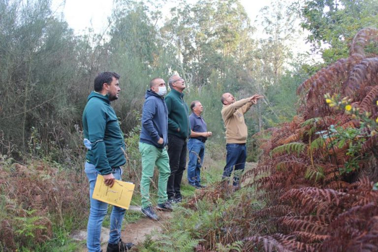 Nigrán inicia a roza dos camiños e muíños do futuro parque forestal ‘Os Matos-Río Táboas’ de cara a crear este bosque protexido