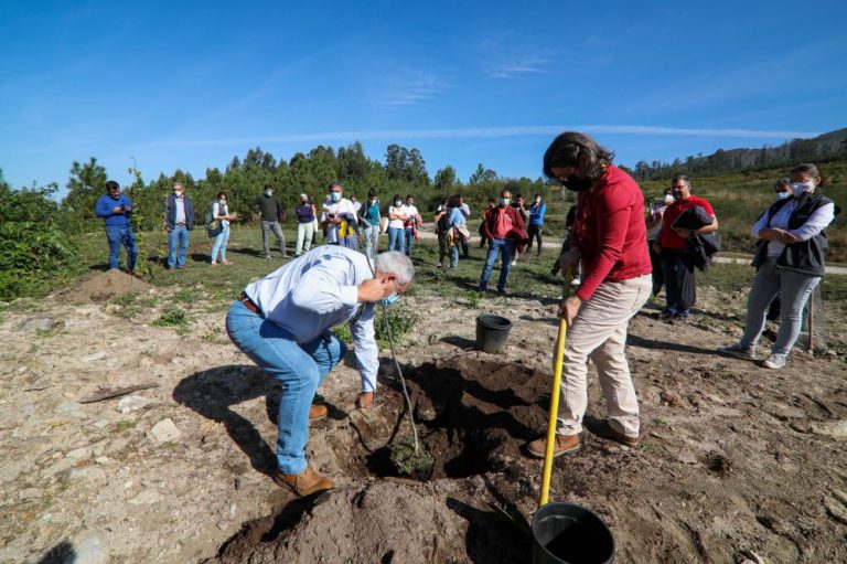 Seis territorios de Galicia únense contra o abandono dos montes e impulsan a súa rexeneración