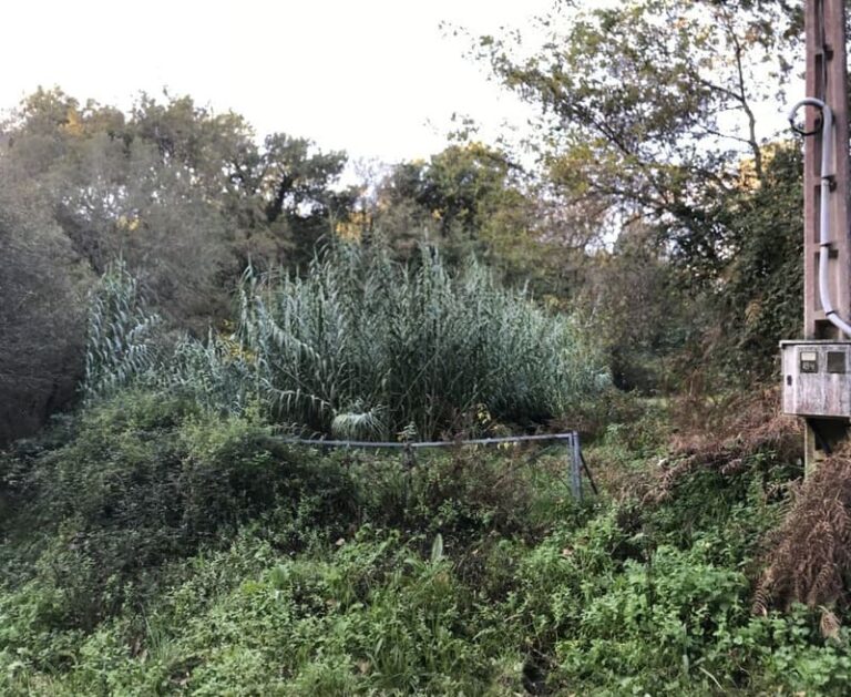 Alternativa por Mondariz pide a urxente limpeza da depuradora de Vilasobroso