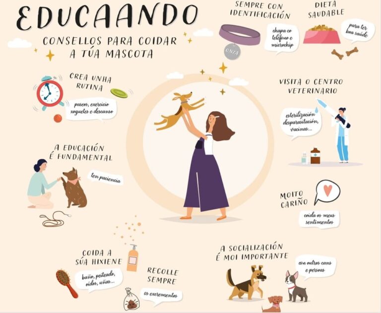 A Deputación enfoca a súa campaña sobre a adopción “EduCAANdo” aos máis cativos