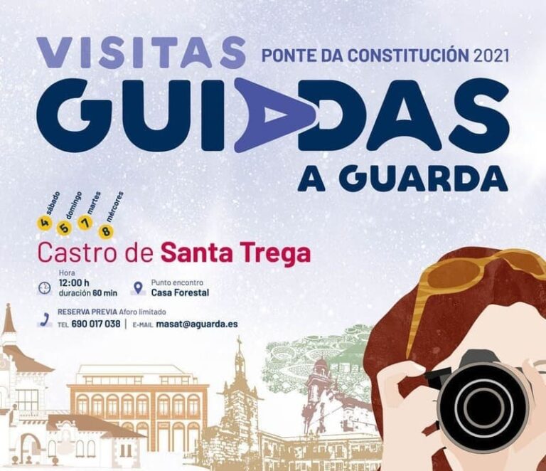 A Guarda promove visitas guiadas para a Ponte da Constitución