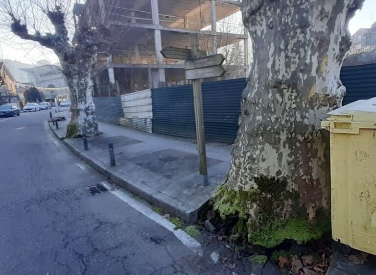 O BNG de Mondariz Balneario urxe ao Concello que atalle o “calamitoso” estado do arborado municipal