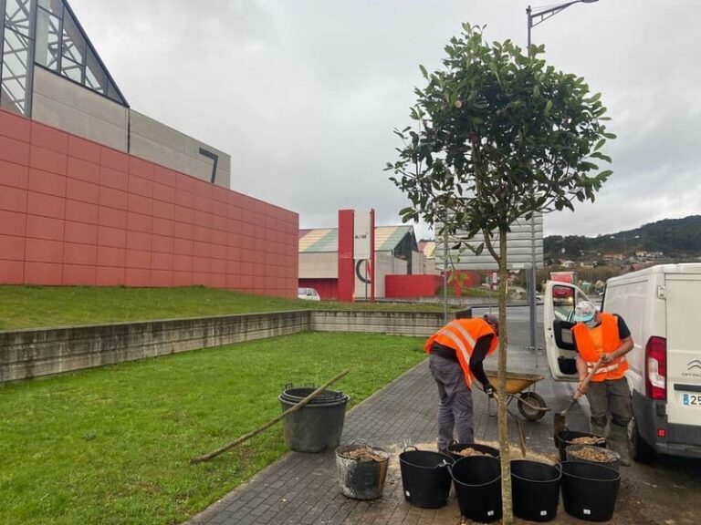 O Concello de Nigrán completa a plantación de arbolado en Porto do Molle