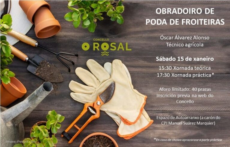O Concello do Rosal organiza este sábado un obradoiro gratuíto de poda de froiteiras