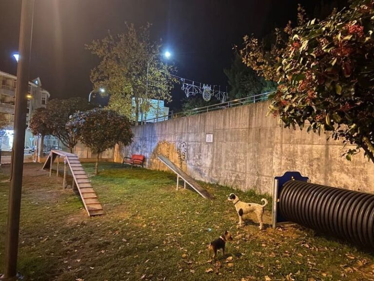 O Concello dota de elementos de xogo aos dous espazos de recreo para cans da vila