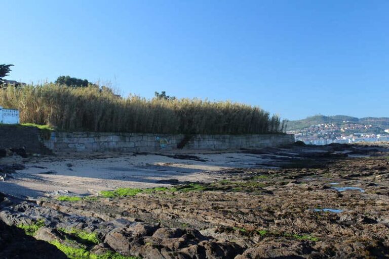 Nigrán habilitará as praias de Portocelo e Os Cantos como espazos para cans todo o ano