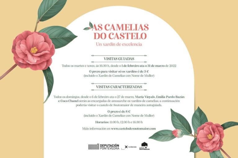Volven as visitas guiadas ás camelias do xardín de excelencia internacional do Castelo de Soutomaior