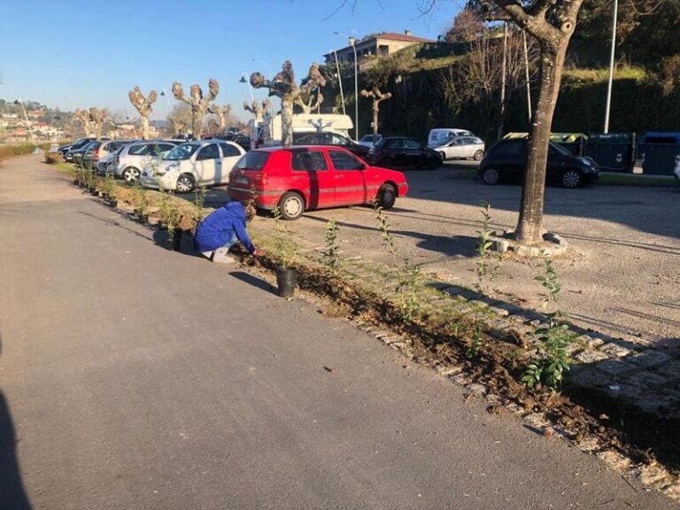 O Concello de Nigrán pranta 175 novos arbustos na contorna do Centro da Terceira Idade de A Ramallosa