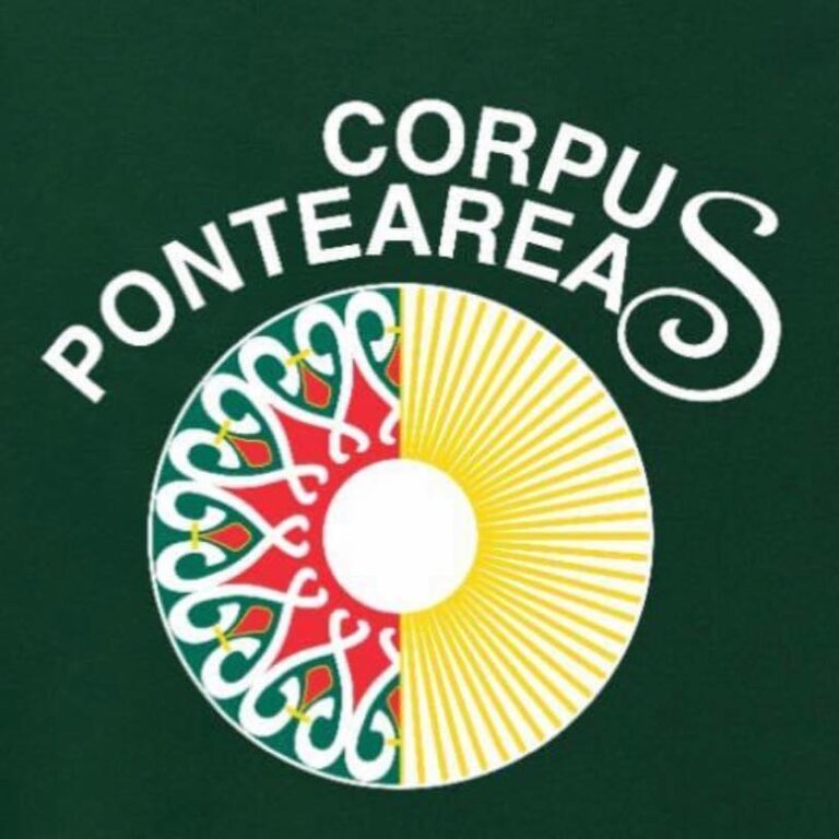 A Asociación de Alfombristas Do Corpus Christi de Ponteareas poderá plantar hortensias na contorna da rotonda de Canedo