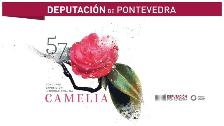 O Concurso-Exposición Internacional da Camelia volve da man da Deputación