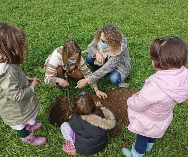Ponteareas duplica o número de árbores no centro urbano en catro anos