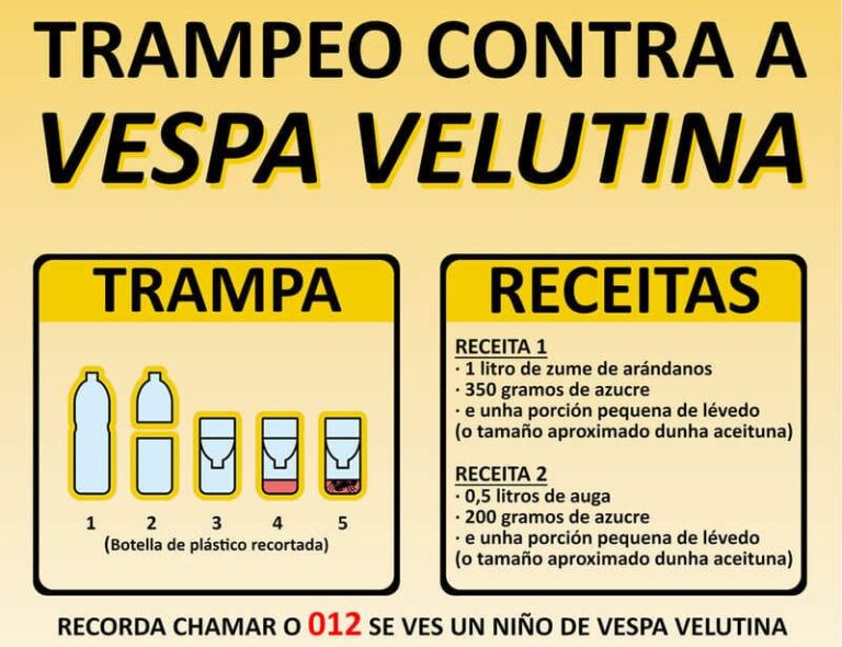 O Concello da Guarda informa sobre como combater os niños primarios da vespa velutina