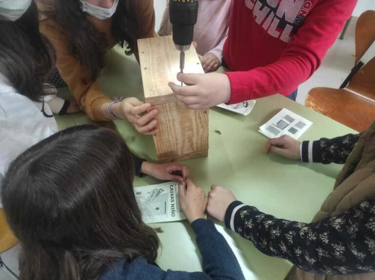 O Concello desenvolve actividades medioambientais para nenos e nenas durante a Semana Santa en Redondela e o Meirande