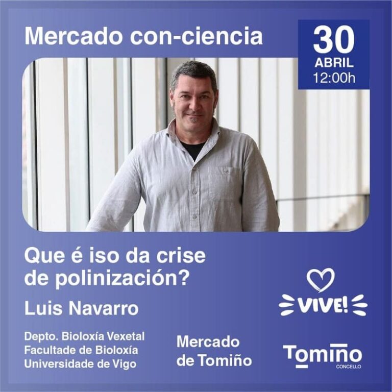 Este sábado lecer e ciencia mestúranse no Mercado de Tomiño