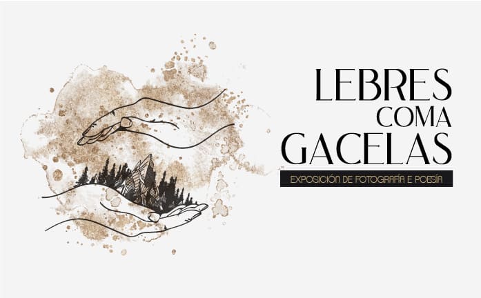 A exposición “Lebres como Gacelas” chega a Tui