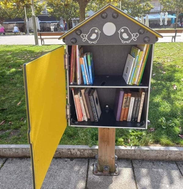 O Concello repón 120 exemplares do fondo da Biblioteca Municipal para as catro casiñas de libros de Ponteareas