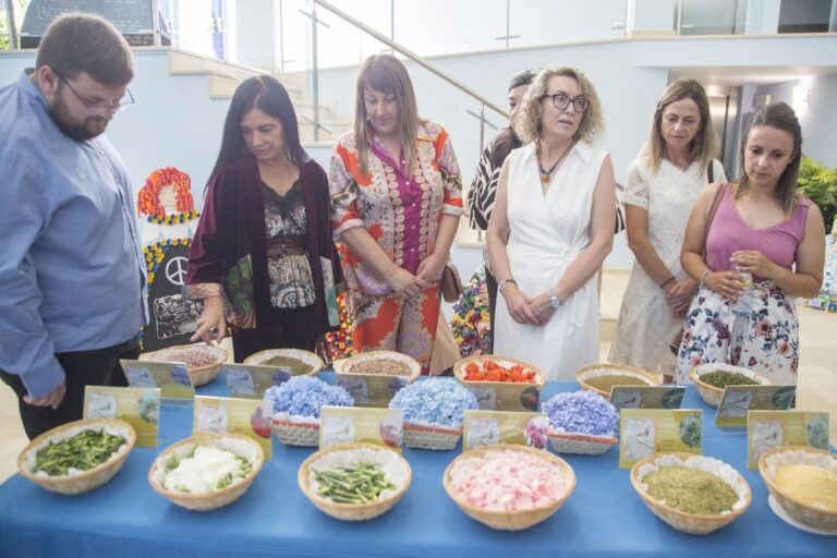 Meninas e os materiais cos que se confeccionan as alfombras, protagonistas da nova exposición no auditorio de Ponteareas