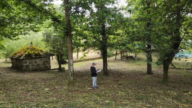 O inventario botánico do xardín de Santa Clara inclúe alomenos unha ducia de árbores “de importancia”