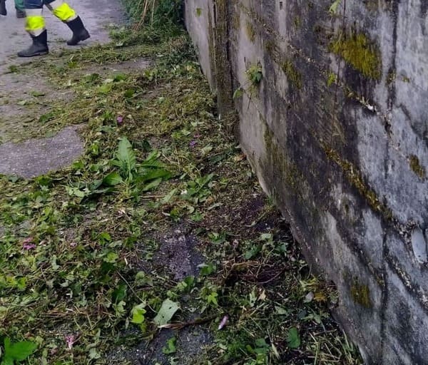 O Concello lamenta que a Xunta “limpe a medias” os treitos do Camiño de Santiago que atravesan municipio