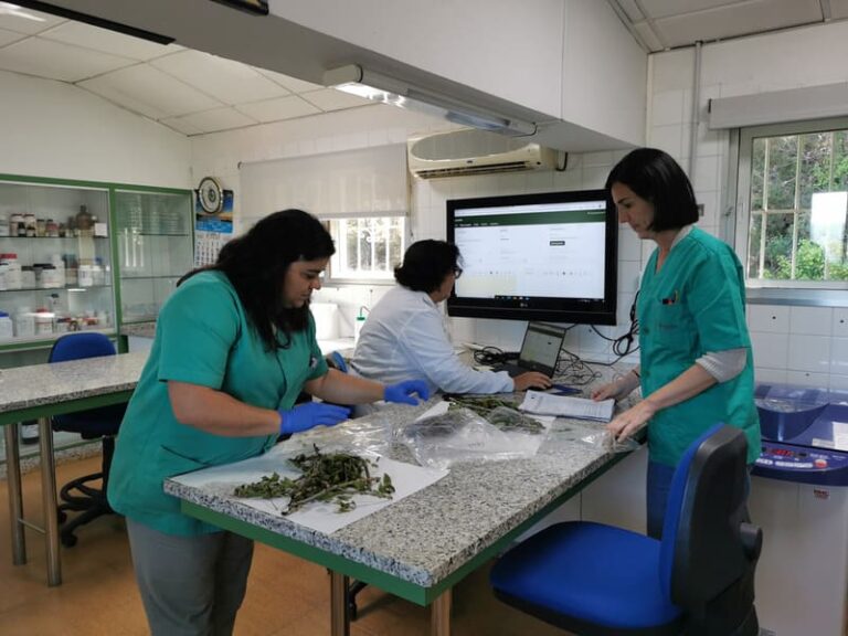 Areeiro convértese en laboratorio oficial para detectar as pragas corentenais fitosanitarias en Portugal