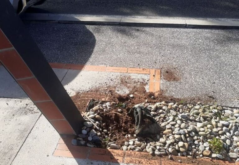 O Concello de Tui denuncia diversos actos vandálicos