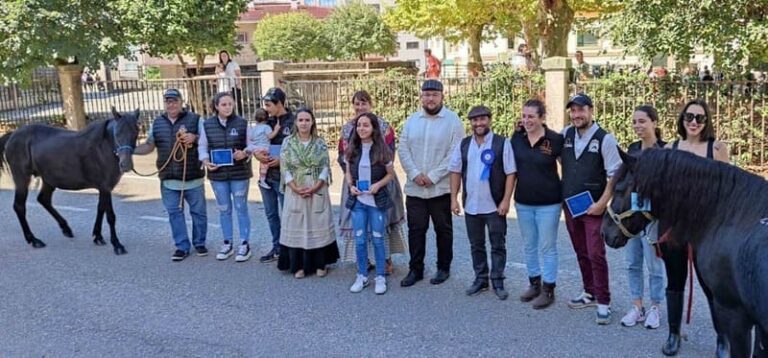Grande éxito de participación nos concursos ecuestre e canino da XIV Feira Tradicional dos Remedios