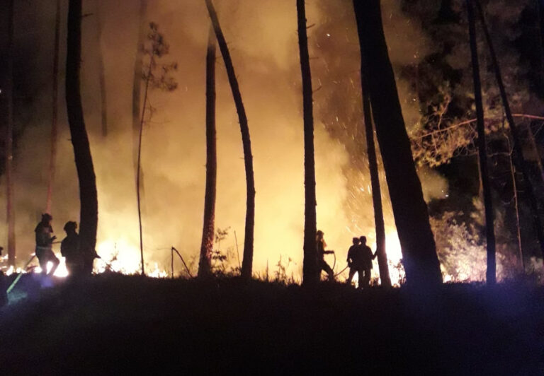 A Policía Local de Redondela colabora na extinción dun incencio forestal en Negros