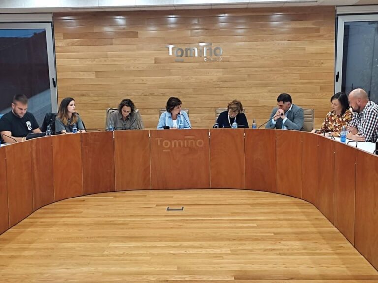 O pleno municipal de Tomiño amosa o seu apoio ao IES Antón Alonso Ríos