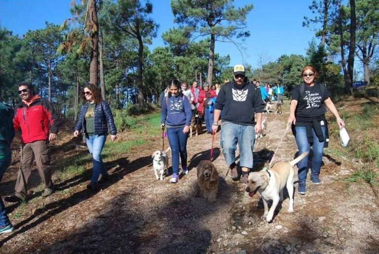 Nigrán organiza o domingo 11 o seu «I Roteiro Canino» en Monteferro