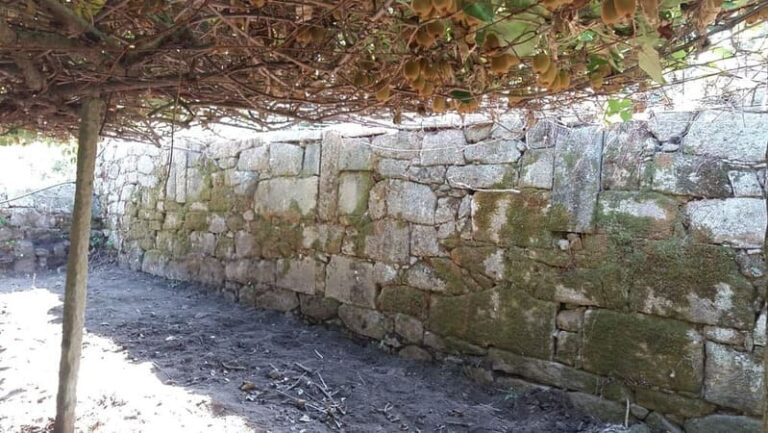 As escavacións de Santa Clara sacan á luz restos da panda oeste do claustro