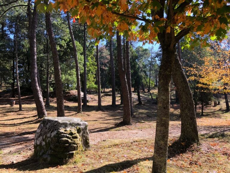 A primeira proba de Depo Orienta deste ano será no monte Aloia