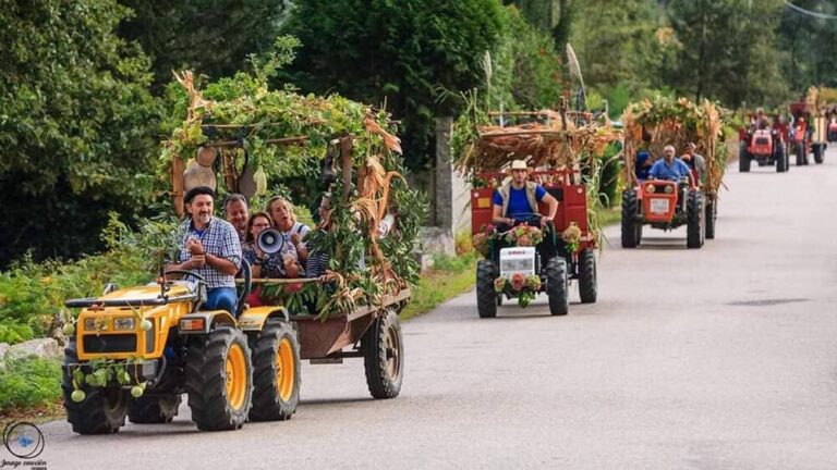 Volve a «Festa da Colleira» á parroquia de Sela, Arbo