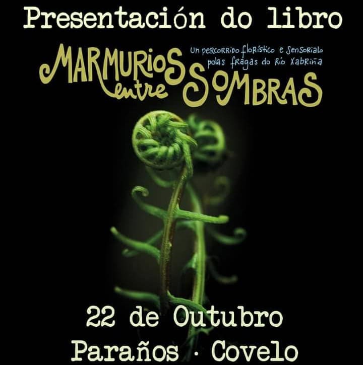 Marmurios entre sombras, un percorrido florístico e sensorial polas fragas do río Xabriña