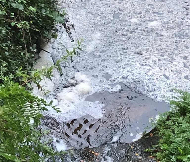 Redondela denuncia os problemas de contaminación dos verquidos de Pazos