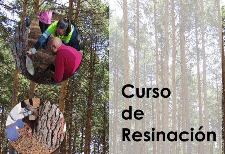 A Guarda oferta formación gratuita sobre o aproveitamento da resina natural con posibilidades de inserción laboral