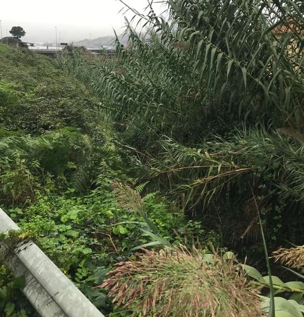 Redondela esixe resposta a Augas de Galicia polo abandono dos ríos e tramos da súa competencia