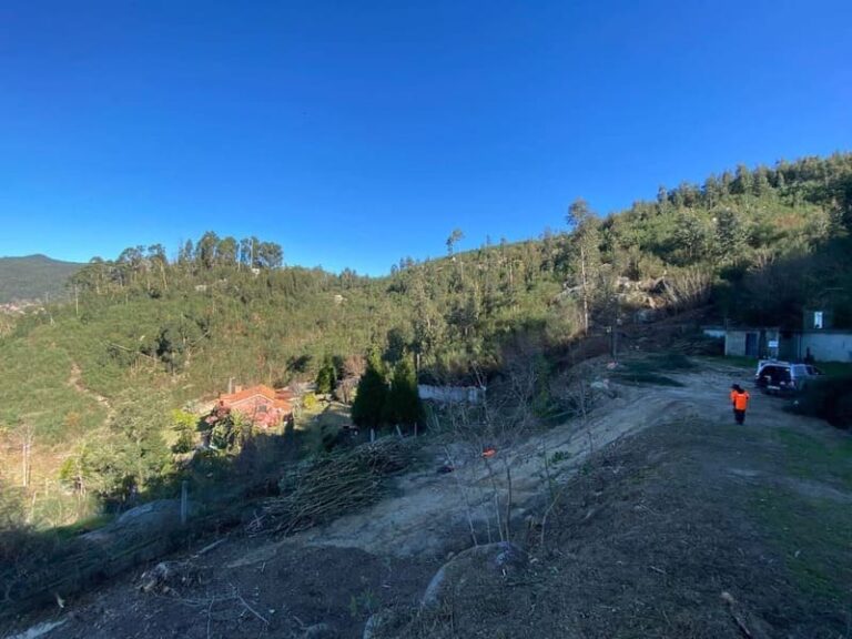 Nigrán inicia o primeiro perímetro de seguridade do parque forestal municipal