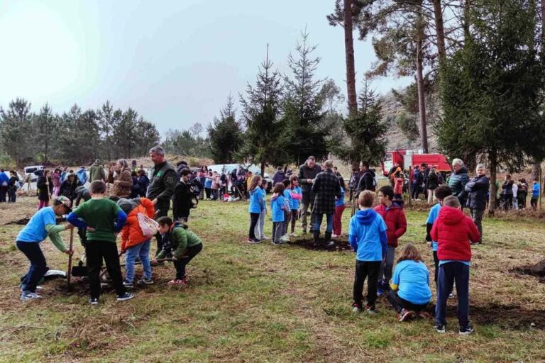 Máis de 200 escolares prantan árbores no Porriño para celebrar o Día dos Bosques