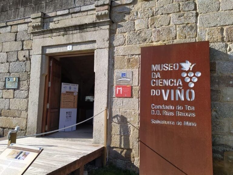 O Museo da Ciencia do Viño de Salvaterra retoma a súa actividade habitual