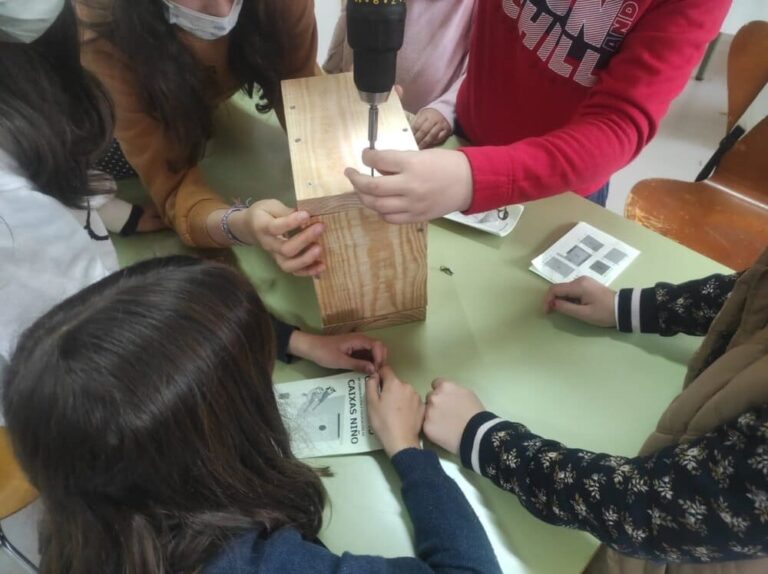 Redondela oferta 180 prazas no programa municipal Concilia Nadal